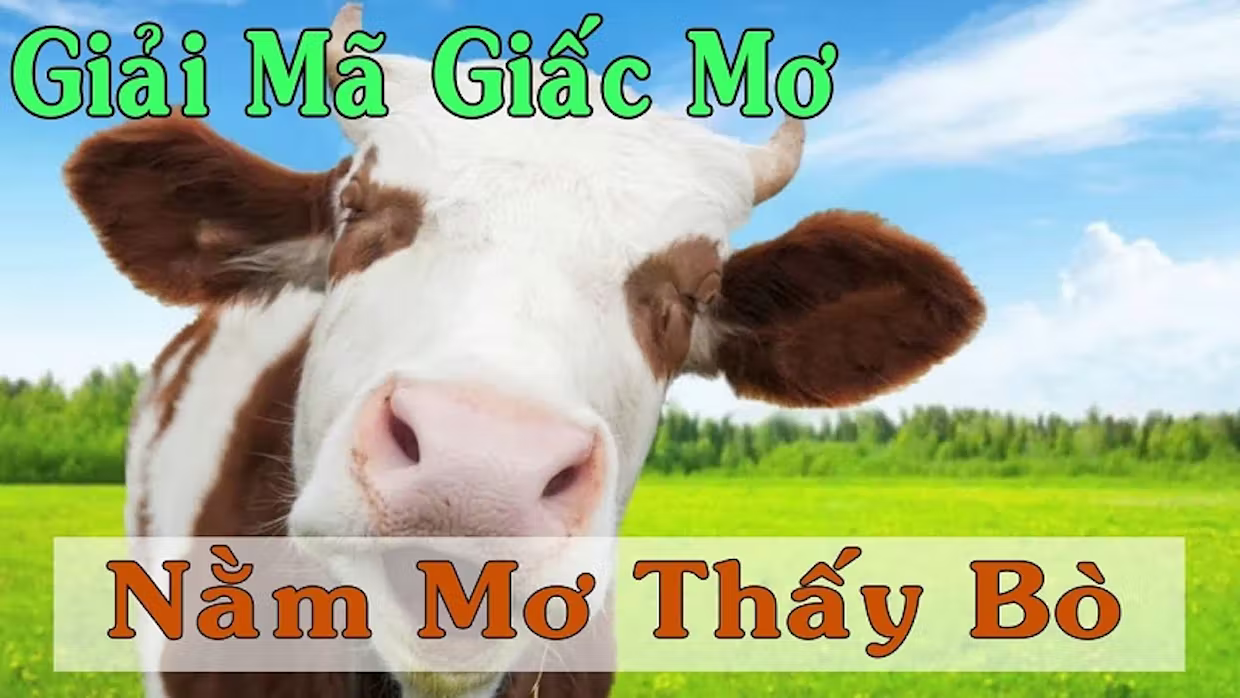Mơ thấy bò đánh con gì cho dễ trúng – Mơ thấy bò là điềm báo gì tương lai content media