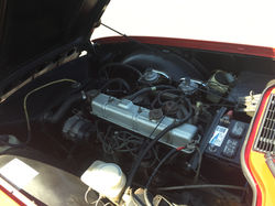 Photo Apr 06, 2 21 23 PM.jpg