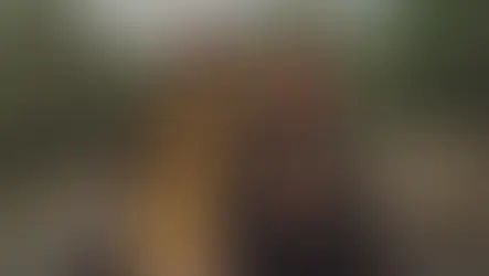 Nisan ayında TRT 2 ekranlarında her akşam bir film var! Nisan 2024 TRT 2 filmleri