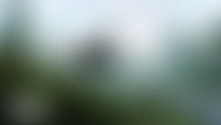 Maymunlar Cehennemi Yeni Krallık Türkçe altyazılı fragman yayınlandı!