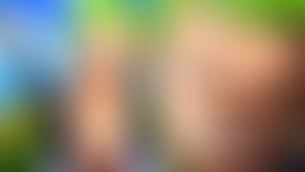 One Piece Kılıç Ustası Roronoa Zoro’nun Öncül Macerası