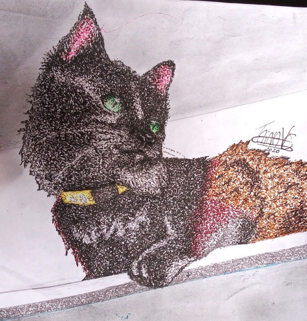 TAINA VIEIRA CALDAS desenho