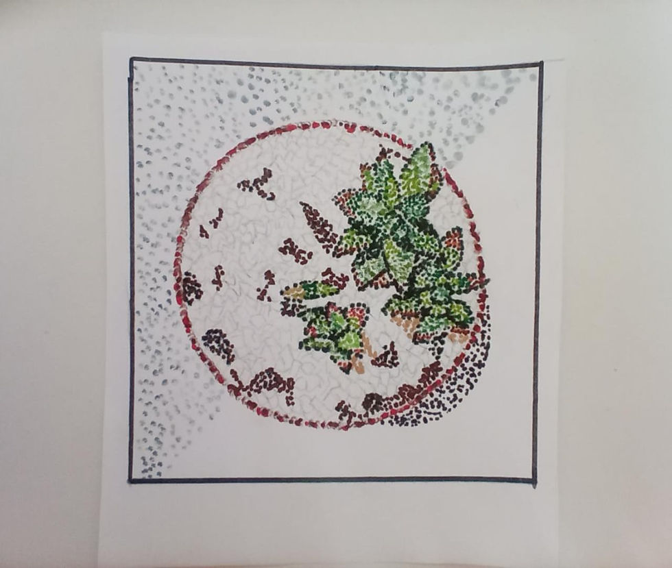 Ana Beatriz Medeiros Mota desenho