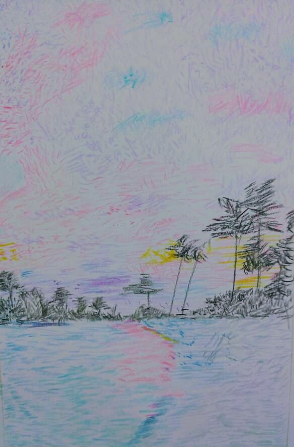 Analice Coura Camargo Desenho