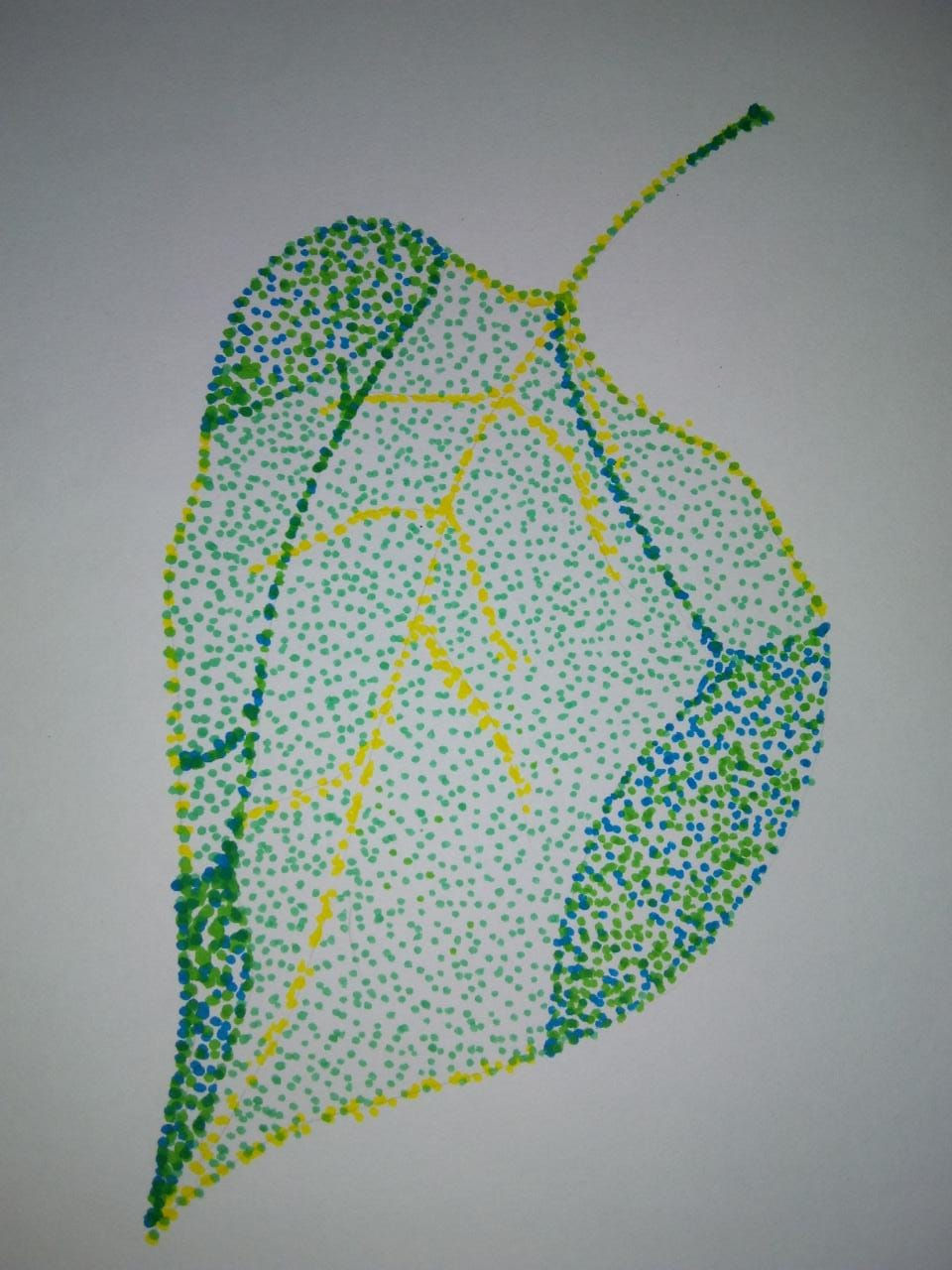 PEDRO JOSE BERTELLI desenho