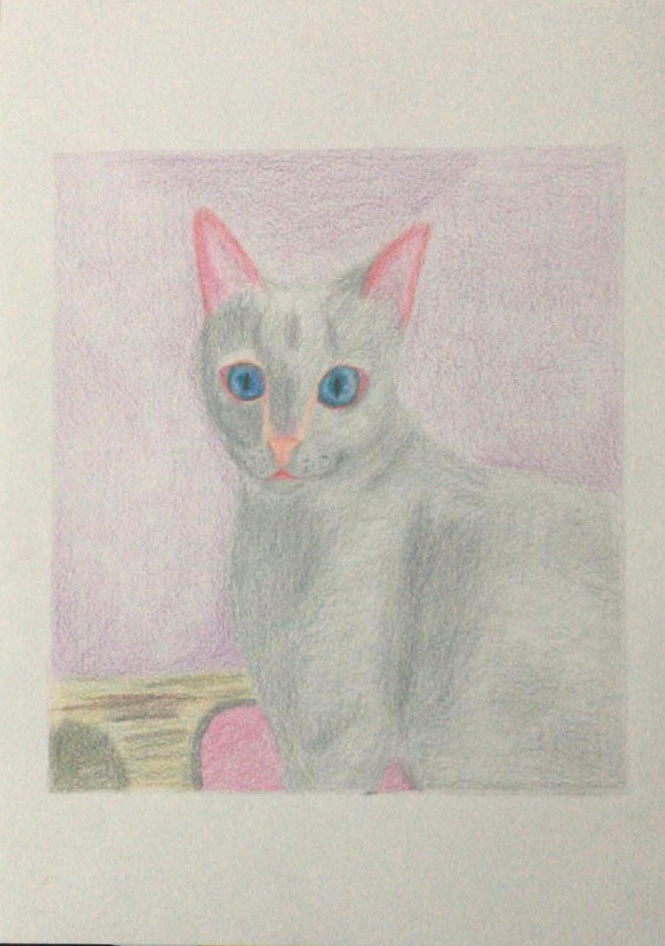 Ana Beatriz Ruza desenho