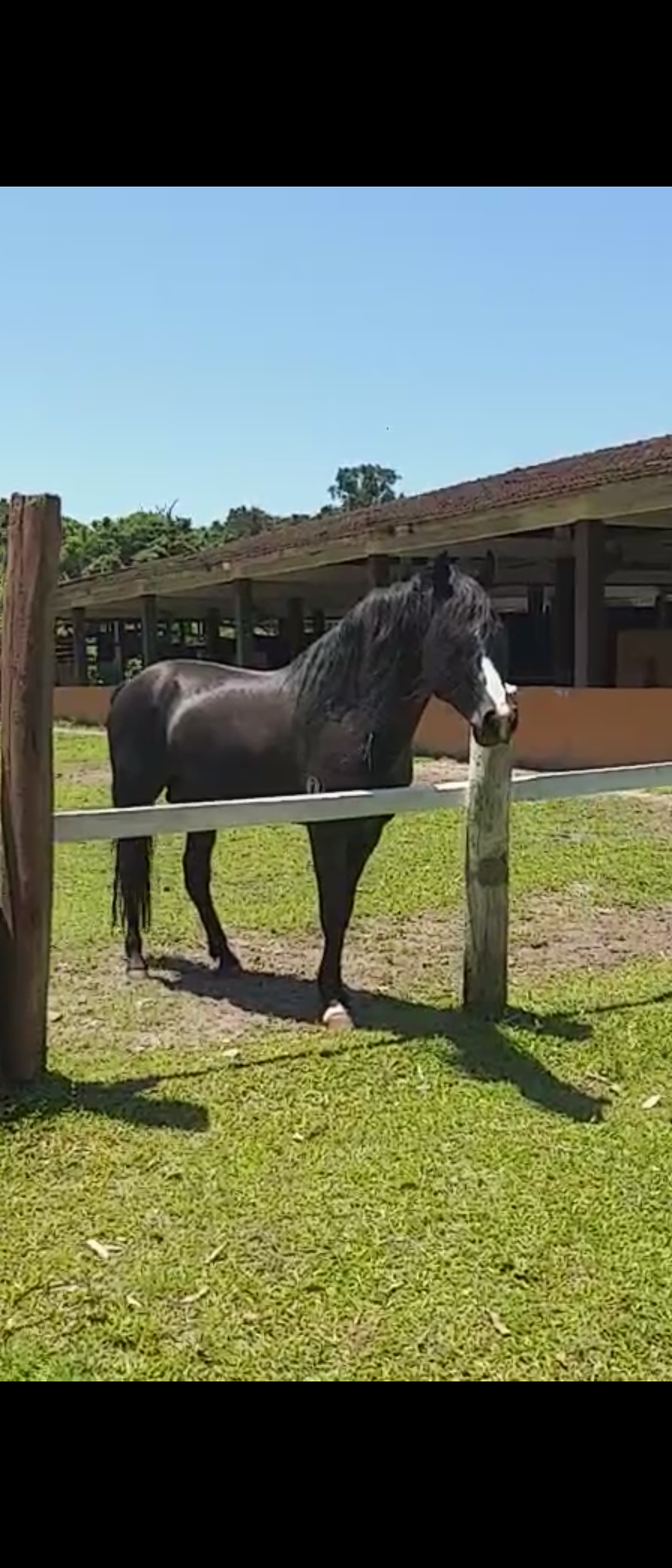 Sthéfany_Silva_-_Foto