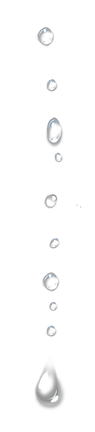 pngegg.png