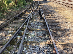 Hobby-Gleisbauer gesucht: Mit anpacken für die historische Straßenbahn Regensburg