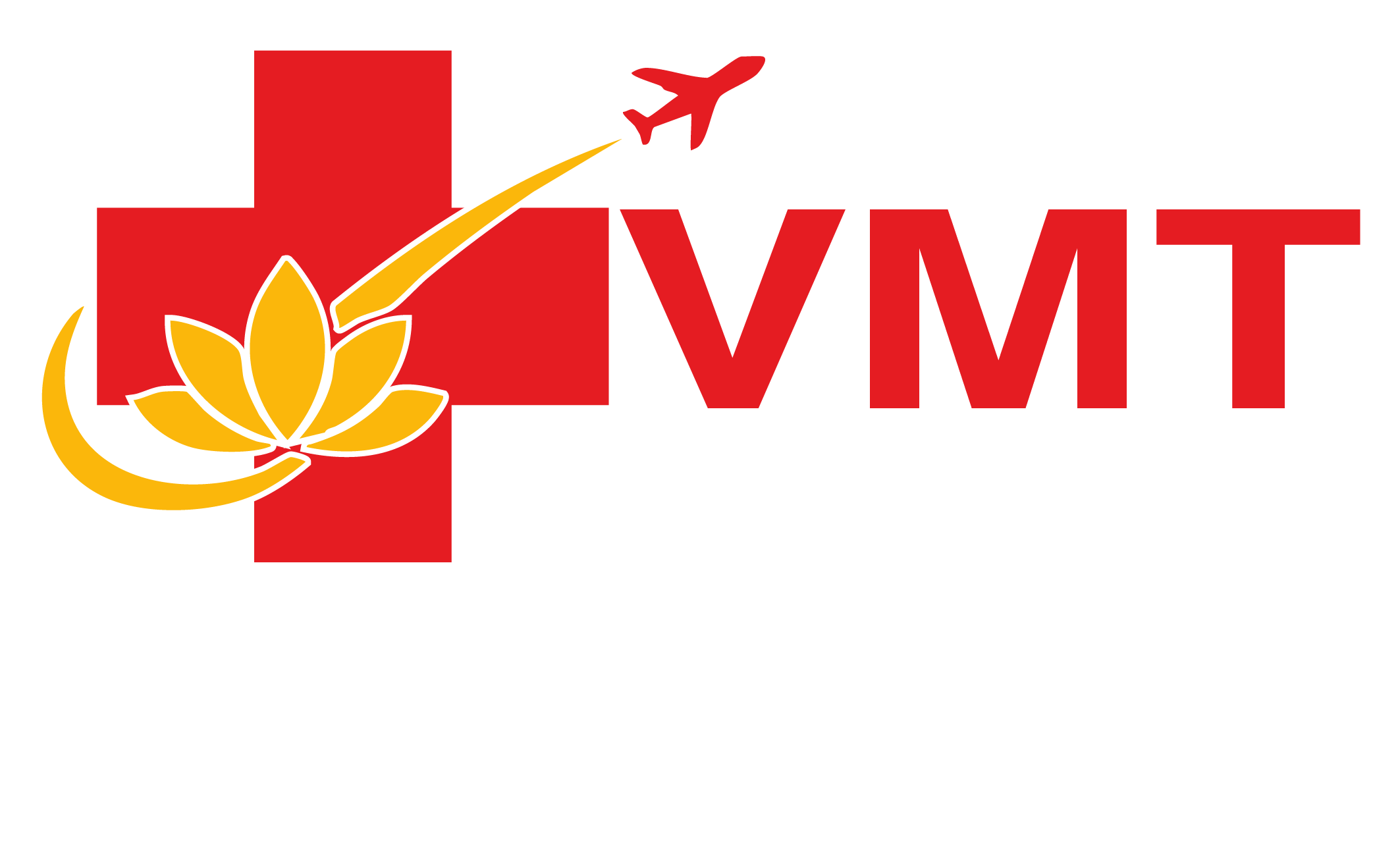 VMT_Vietnam_Medical_Travel_logo_vector W.png