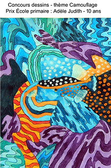 dessin concour