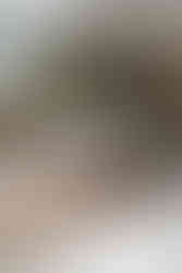 Wedding florals New Zealand wedding 