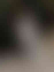 Wedding florals New Zealand wedding