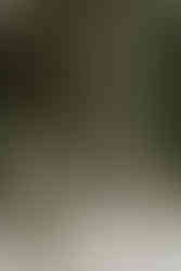 Wedding florals New Zealand wedding