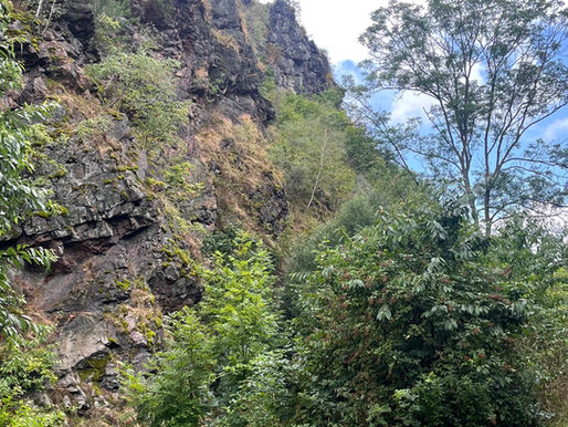 דיבוקה שרקה, טבע בלב פראג