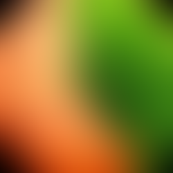 First Martian life likely broke the planet with climate change, made themselves extinct 