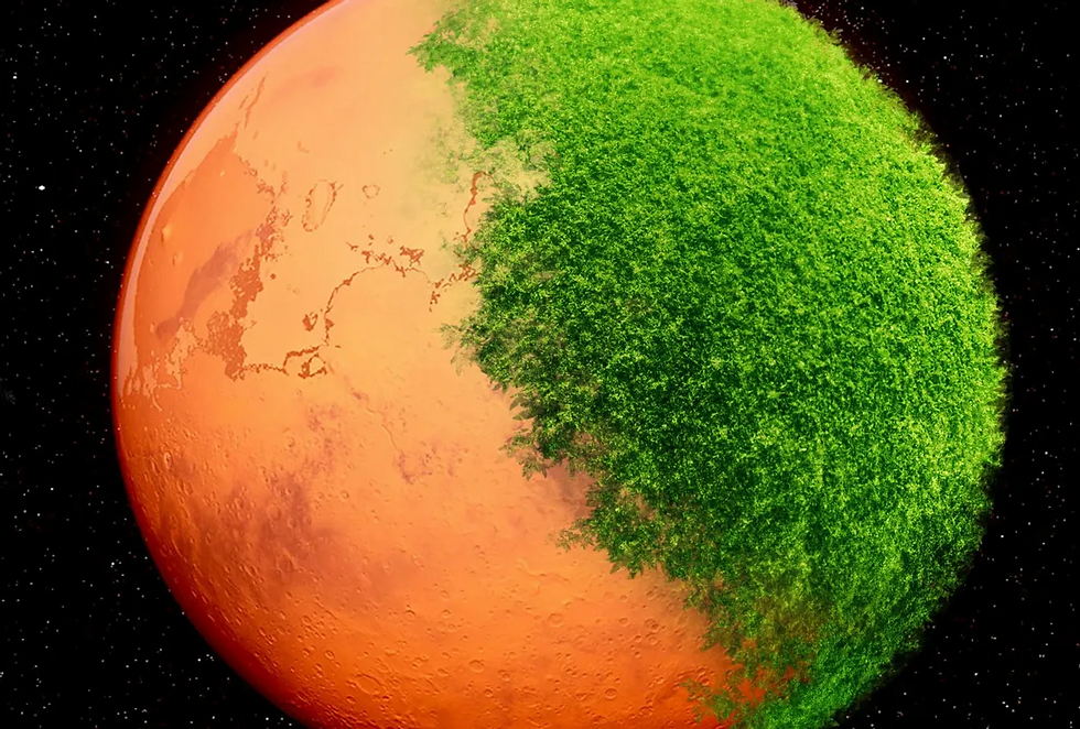 ree
