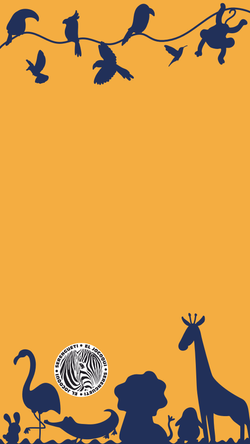 Diseño para redes sociales