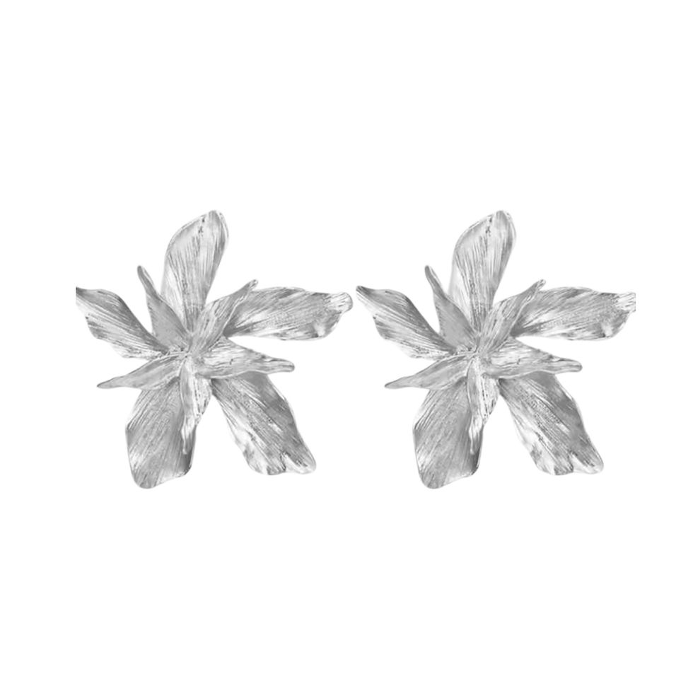 ARETES VIRAL PLATEADO