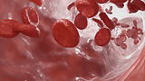 blood flow 03-min_edited.jpg