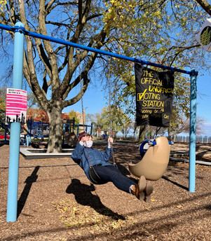 WrenSwing1.jpeg