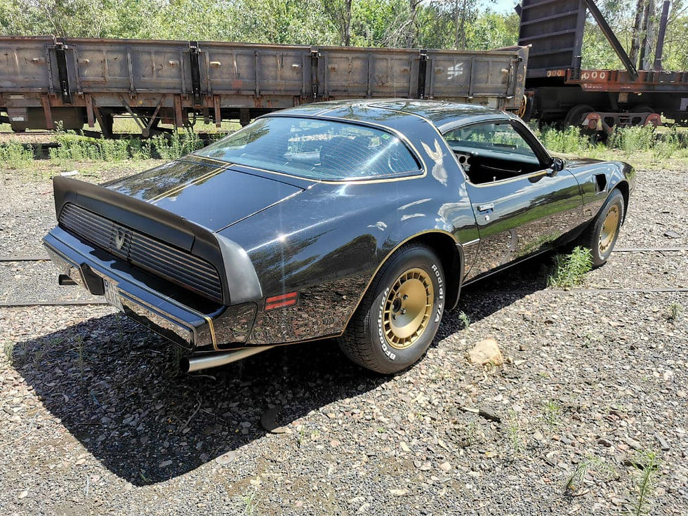 Thumbnail: 1981 Pontiac Transam T -Top Coupe