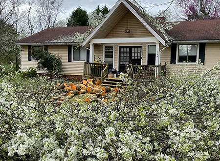 Home Renovation Remodel Fayetteville ga Before
