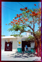 DESHLEE_PORTRA160_-20.jpg