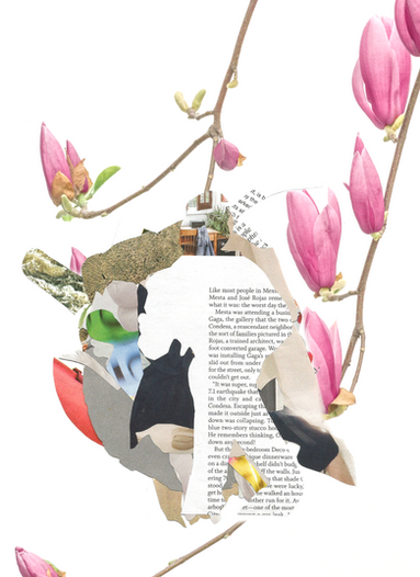 flowers and a series of stacked images
