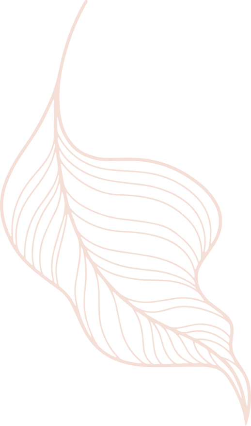 Asset 4 Leaf_edited.png