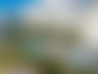 Hoteles Riu en México