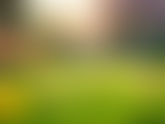Essential Lawn Care Tips for Every Season