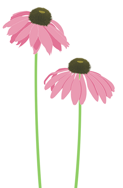 Fleurs roses.png