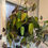Thumbnail: Philodendron Mican hanging basket 8inch