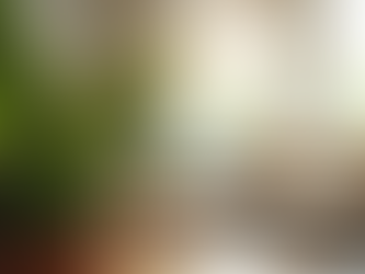 How Plants Can Transform Your Well-Being