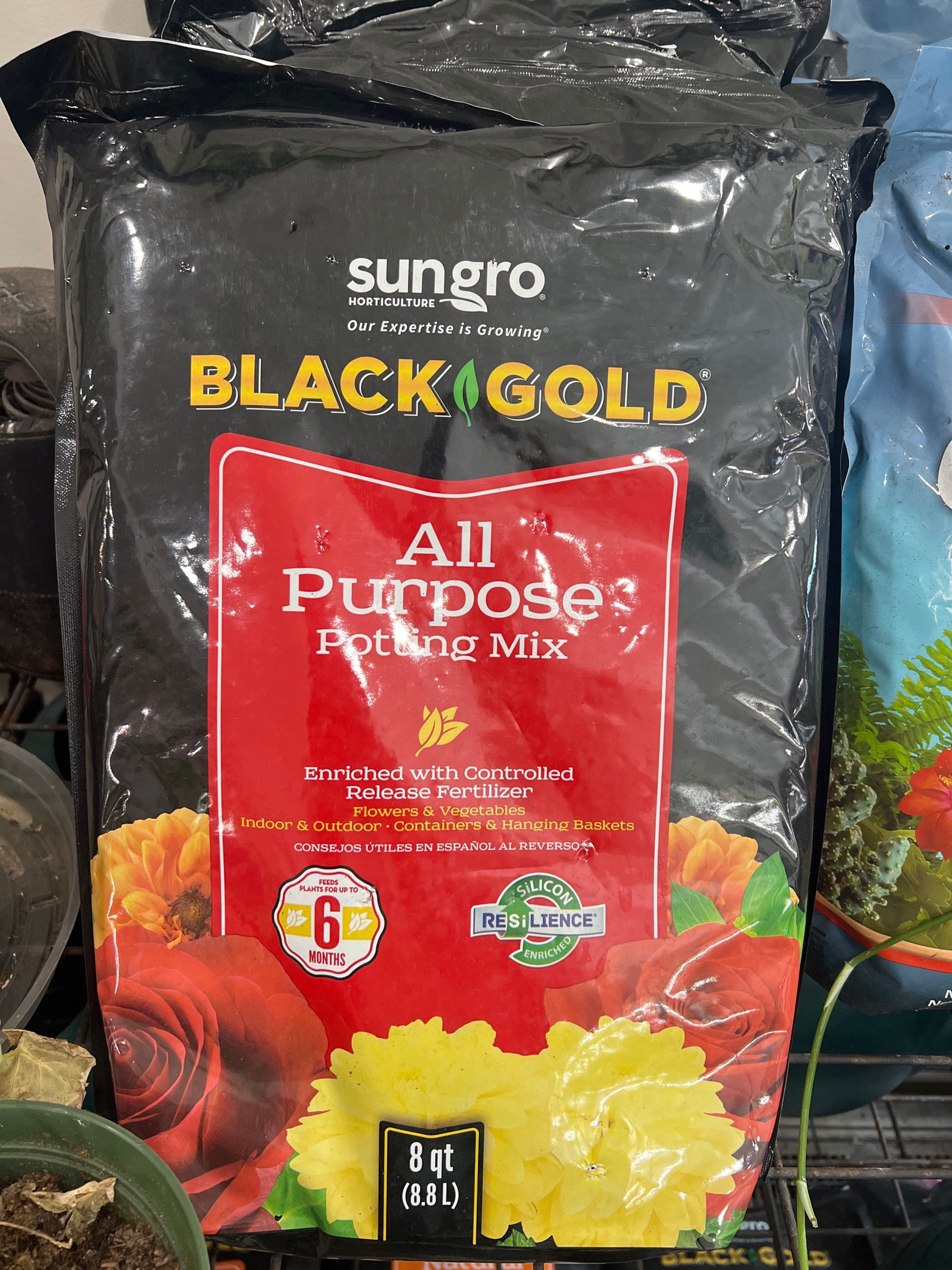 Black gold all purpose 8qt