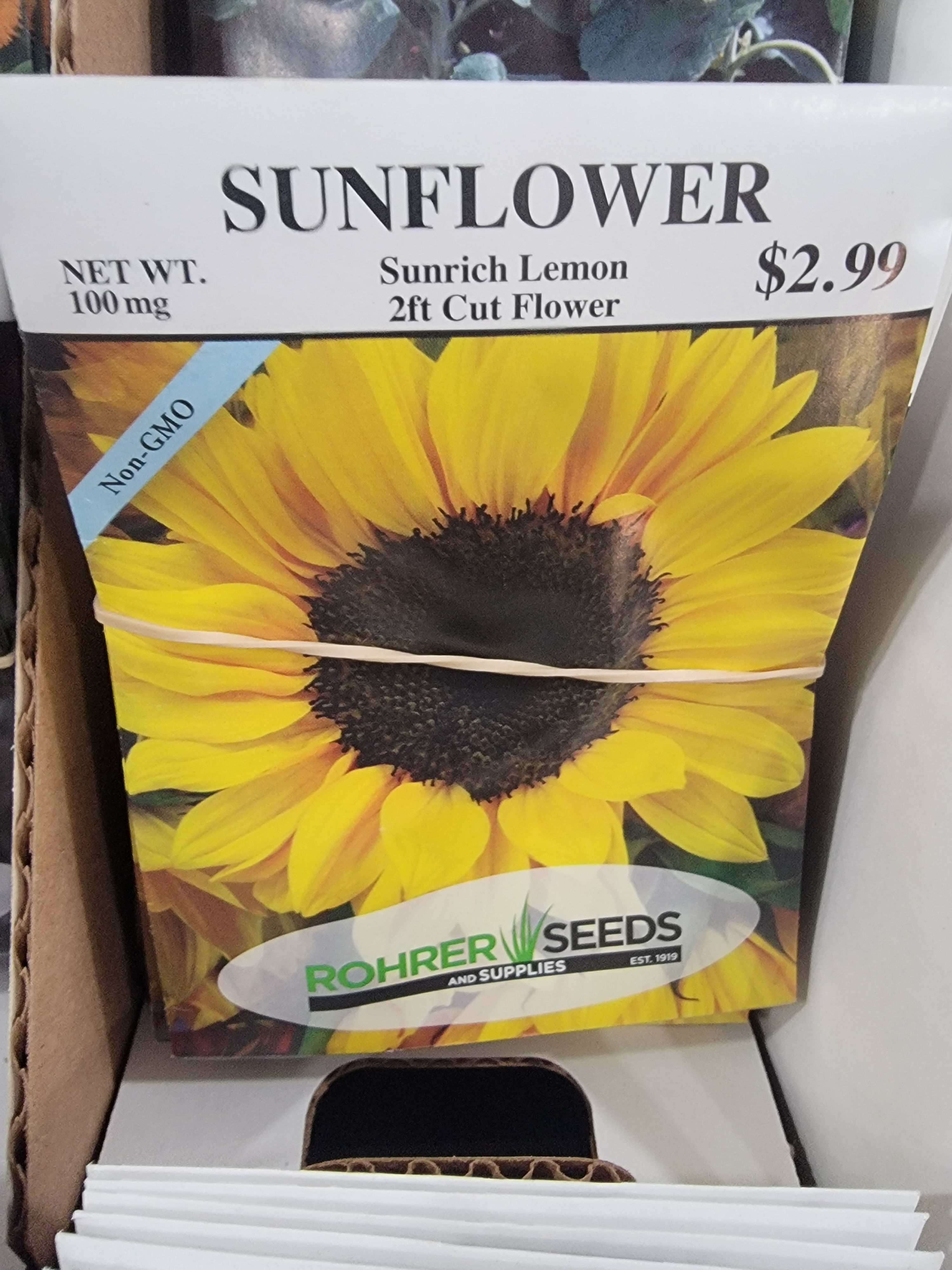 sunflower - sunrich lemon