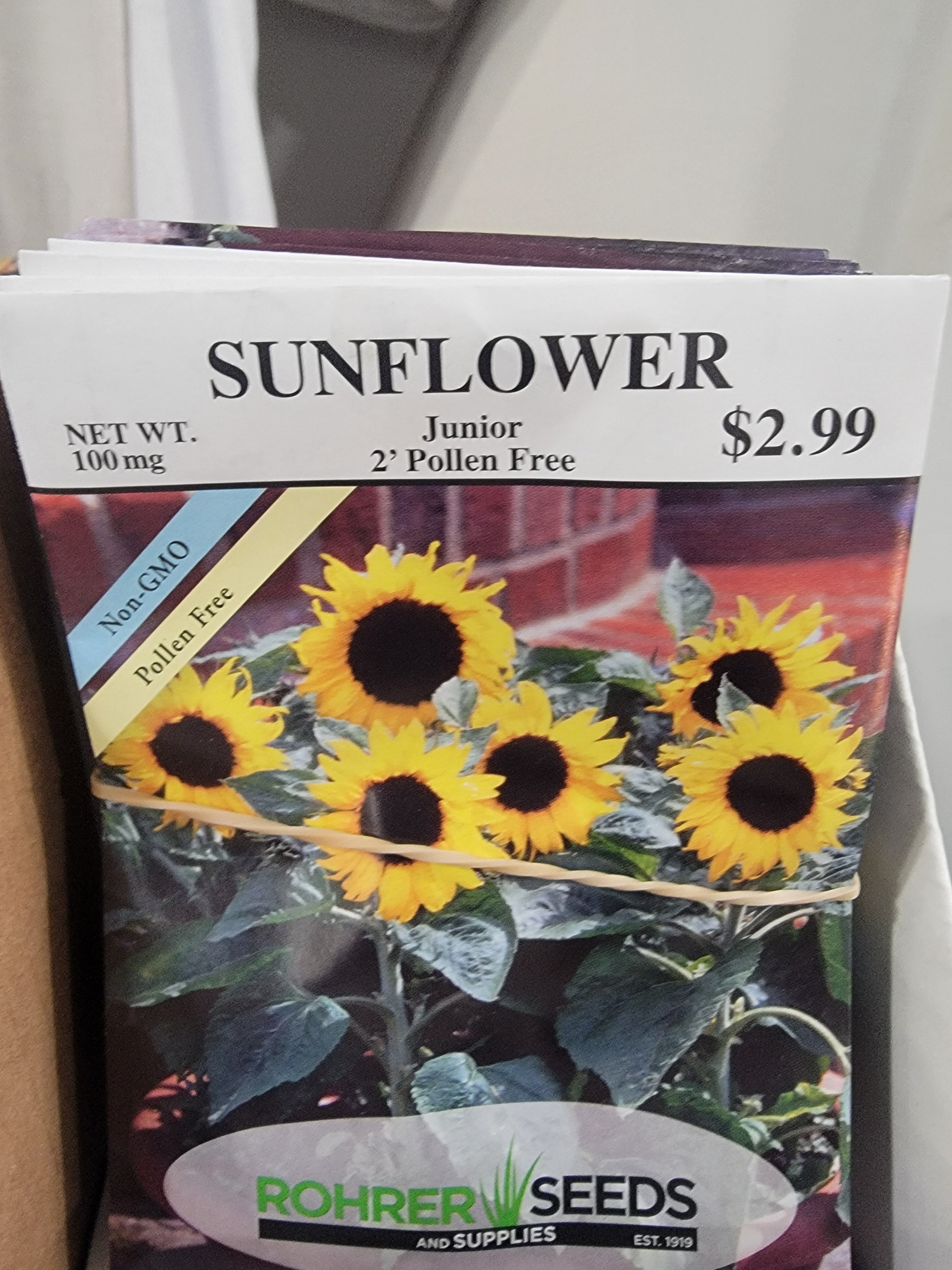 sunflower - junior 2' pollen free