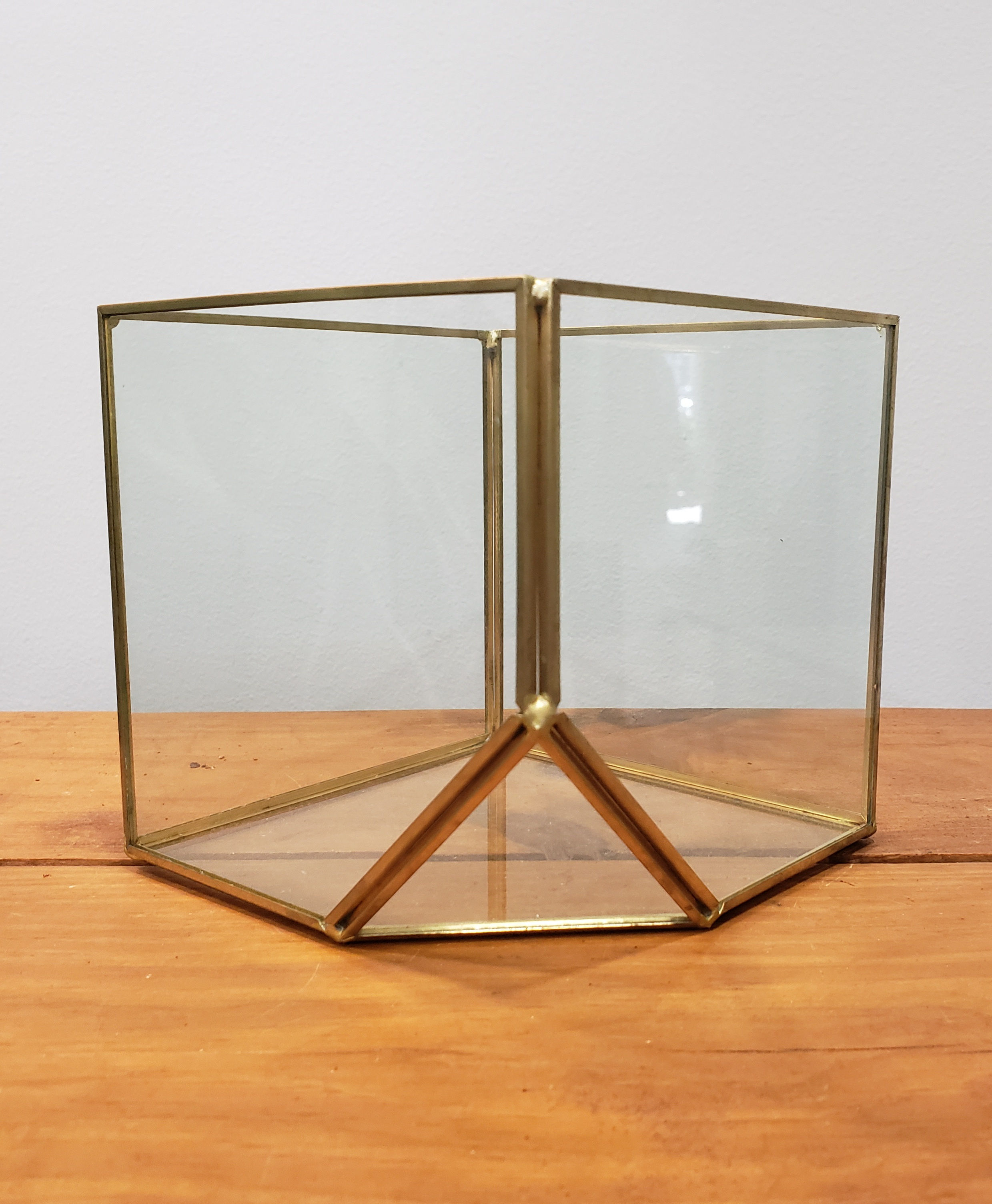 Terrarium