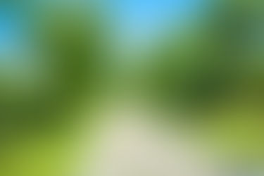 Exposure to residential greenness may reduce AD risk