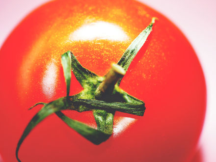Tomato Phytonutrients Support Skin’s UV Resilience
