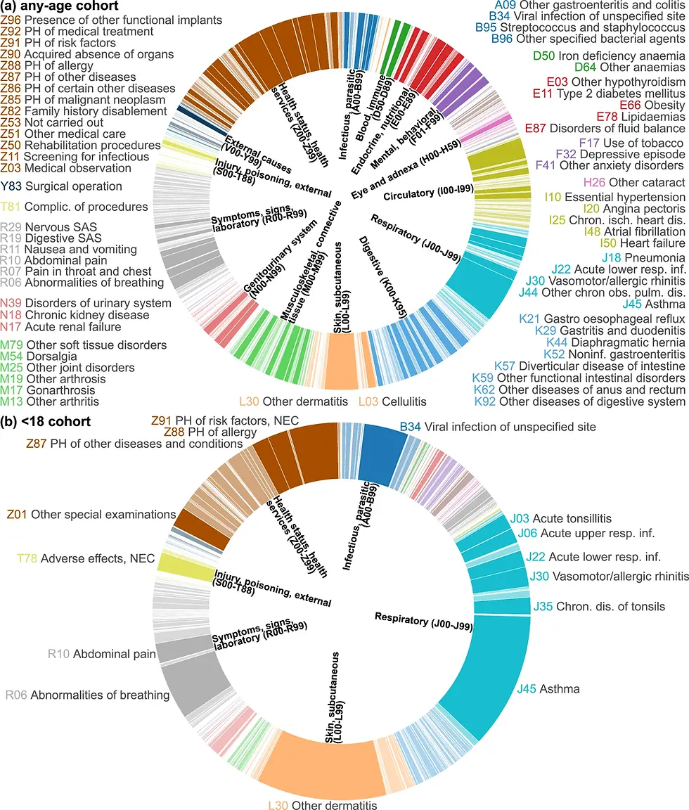 Atopic dermatitis comorbidities mapped