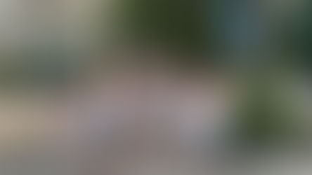 Seoul Healing Concert