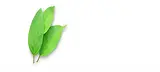 アセット 12.webp