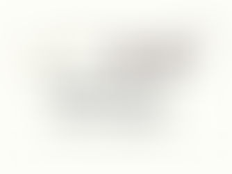 誰でも簡単!「画像の縦横生成」オプションの使い方!