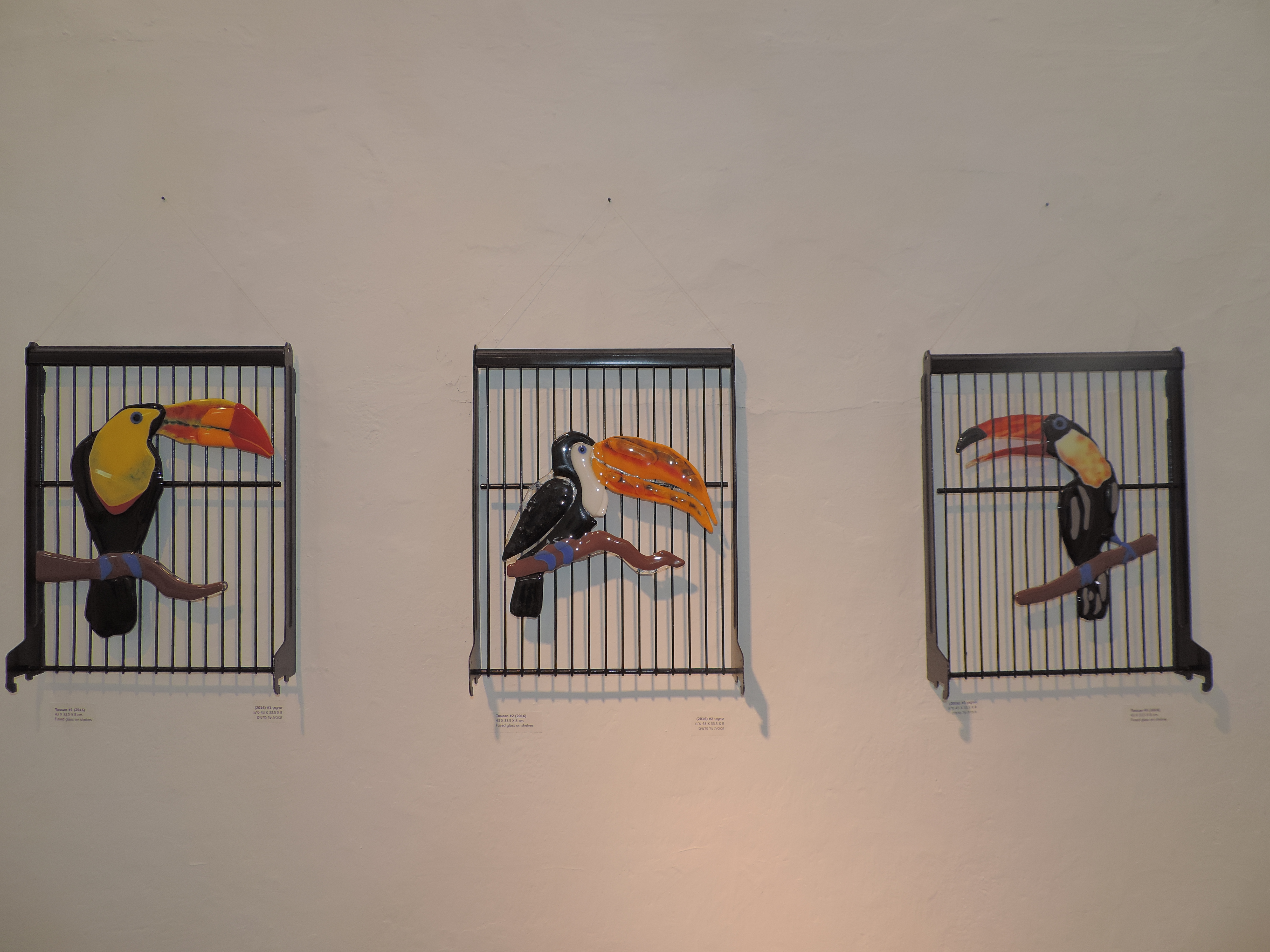 Toucans