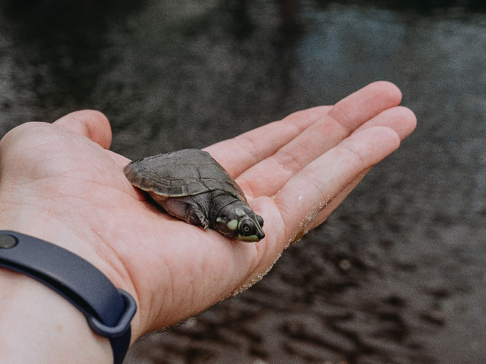 WhatsApp Image 2024-09-22 at 19.54.40 (1).jpeg