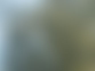 Thou Should Not Wants