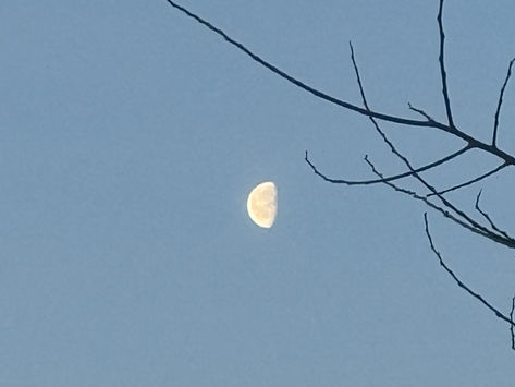 Things to Look Forward To