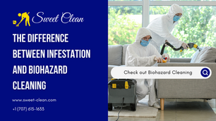The difference between infestation and biohazard cleaning: